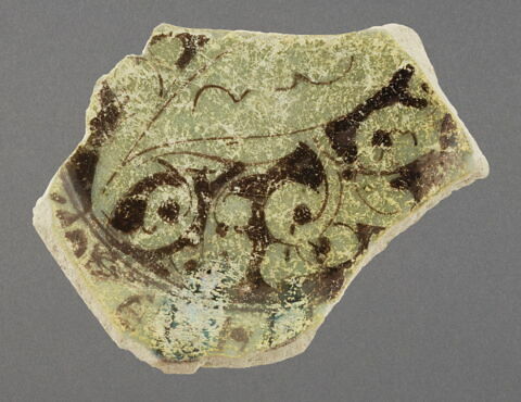 Fond de coupe à l'oiseau, image 1/1