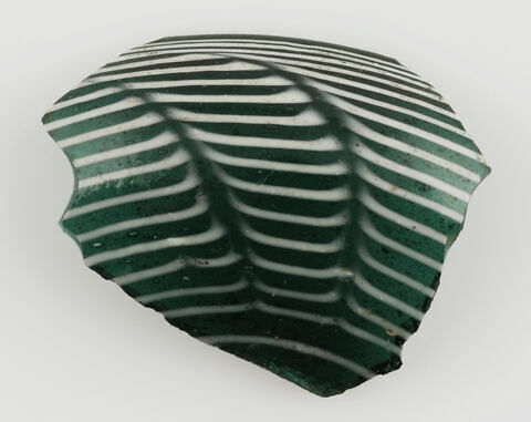 Fragment de paroi ou de couvercle, image 1/1