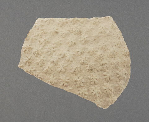 Tesson de vase ou bouteille (épaule), image 1/1