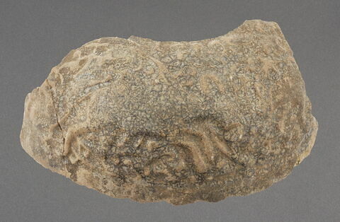 Épaule de vase ou bouteille aux animaux, image 1/1