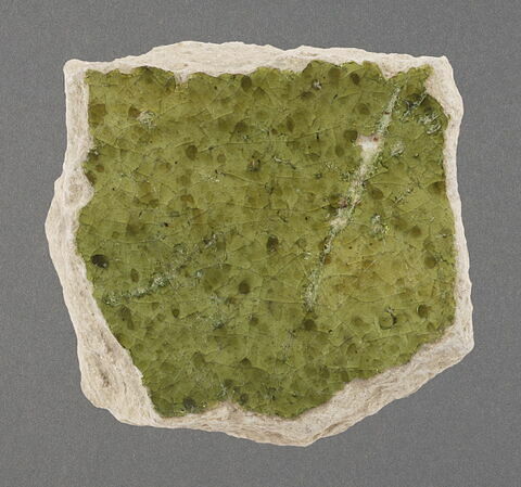 Tesson de coupe, image 1/1