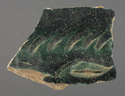 Fragment de paroi, image 1/1
