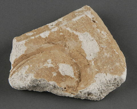 Elément de stuc, image 1/1