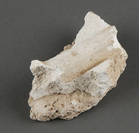 Elément de stuc, image 1/1