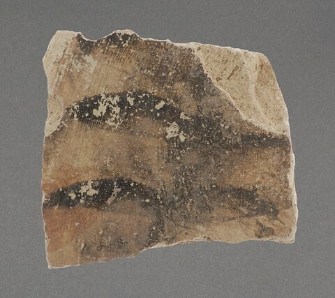 Fragment de paroi, image 1/1