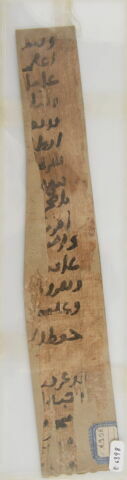 Papyrus, image 1/1