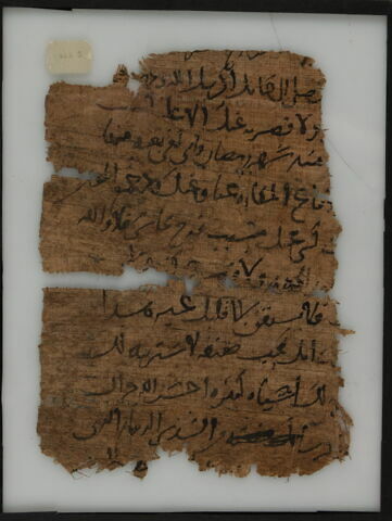 Papyrus, image 2/2