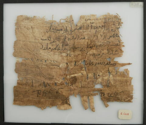 Papyrus, image 2/2