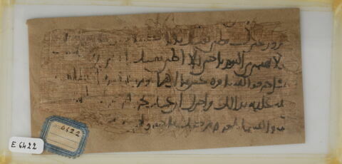 Papyrus, image 1/1
