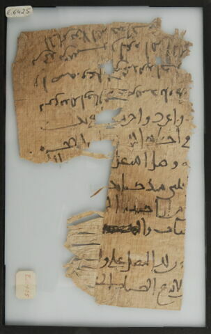 Papyrus, image 1/1