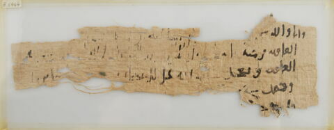 Papyrus, image 1/1