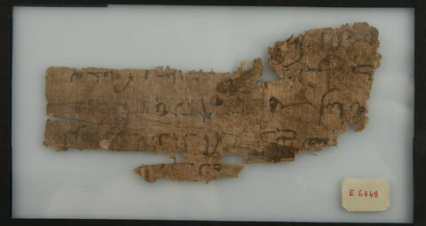 Papyrus, image 1/1