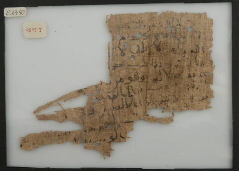 Papyrus, image 1/1