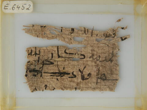 Papyrus, image 1/1