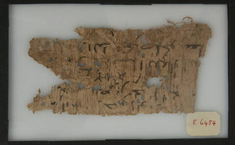 Papyrus, image 1/1