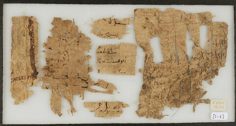 Papyrus, image 1/1