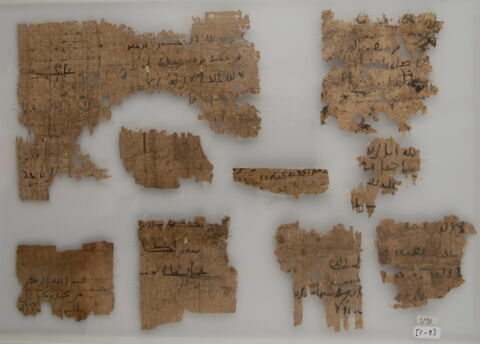 Papyrus, image 1/1
