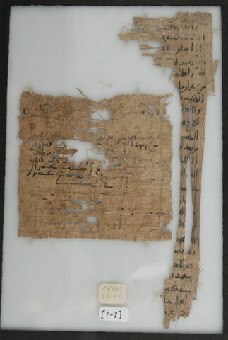 Papyrus, image 1/1