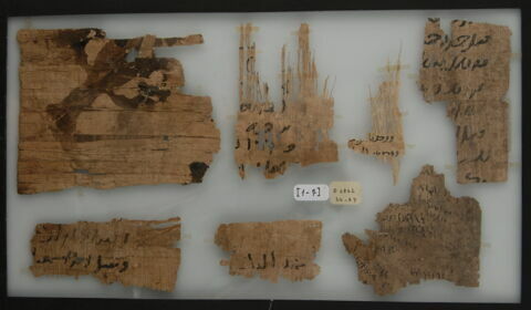 Papyrus, image 1/1