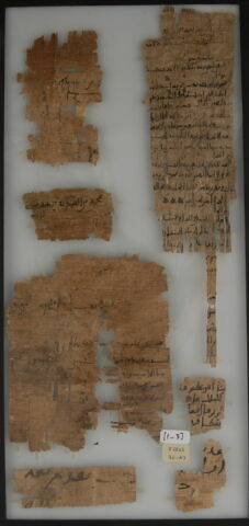 Papyrus, image 1/1