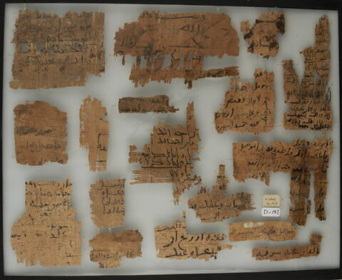 Papyrus, image 1/1