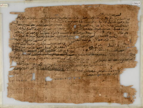 Papyrus, image 1/1