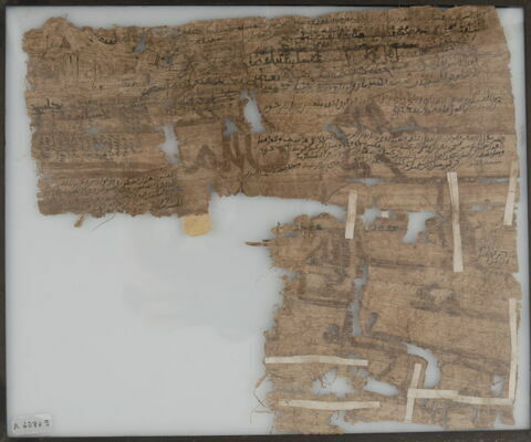 Papyrus, image 2/2