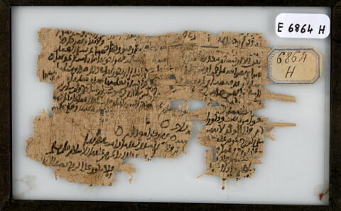Papyrus, image 1/1