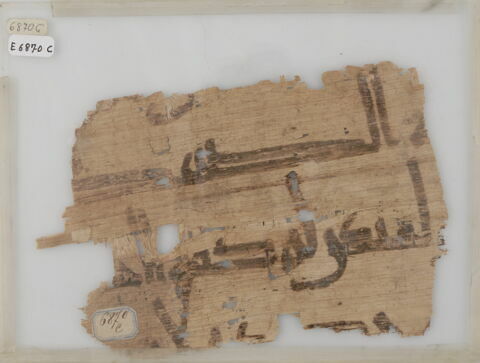 Papyrus, image 1/1