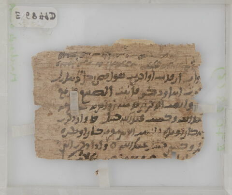 Papyrus, image 2/2
