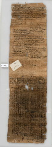 Papyrus, image 1/1