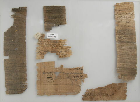 Papyrus, image 1/1