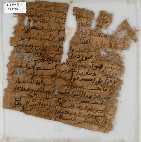 Papyrus, image 1/1