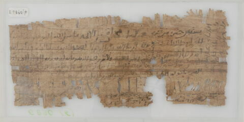 Papyrus, image 2/2