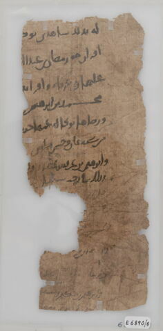 Papyrus, image 1/1