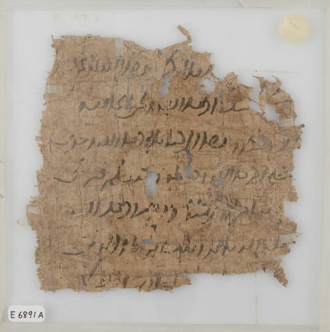 Papyrus, image 2/2