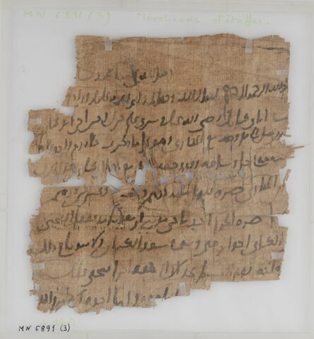 Papyrus, image 1/1