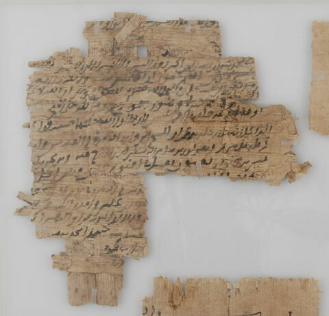 Papyrus, image 1/1