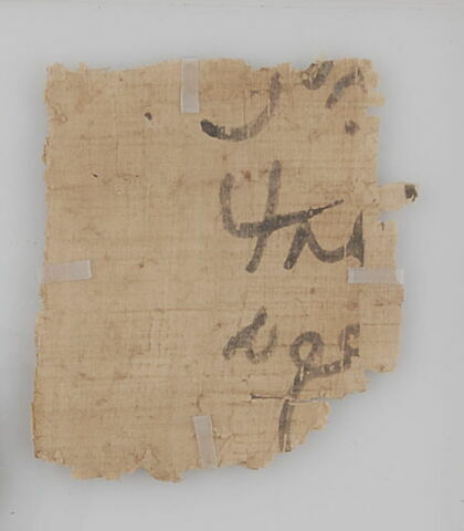 Papyrus, image 1/1