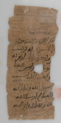 Papyrus, image 1/1