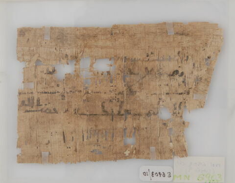 Papyrus, image 1/1