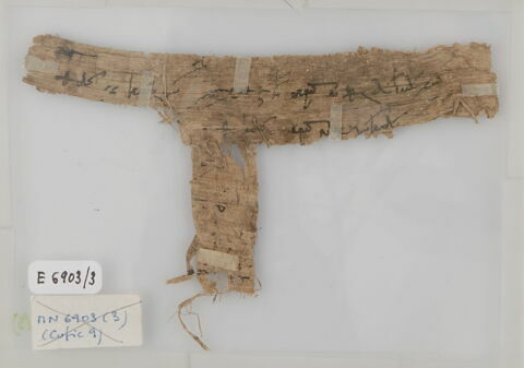 Papyrus, image 1/2