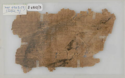 Papyrus, image 1/1