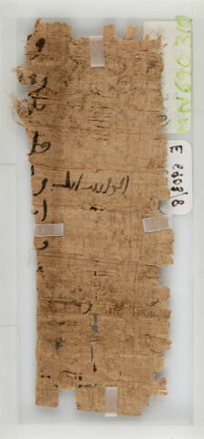 Papyrus, image 2/2