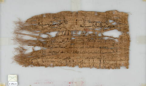 Papyrus, image 1/1