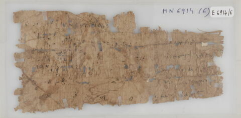 Papyrus, image 1/1