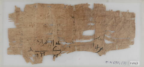 Papyrus, image 1/2