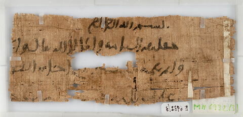 Papyrus, image 1/2