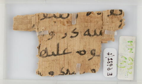 Papyrus, image 1/1