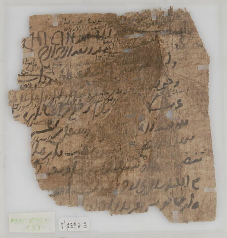 Papyrus, image 1/2